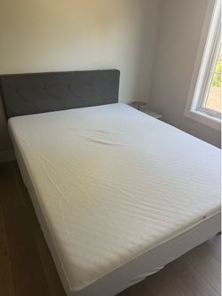 Queen Bed and Mattress