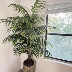 Artificial Palm Plant