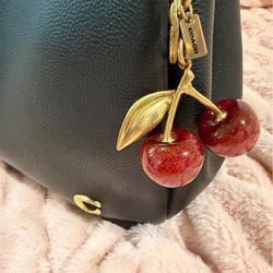 Cherry 🍒 Coach 