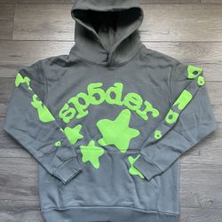 Brand new Spider Worldwide Beluga 'Slate Grey/Green' Hoodie