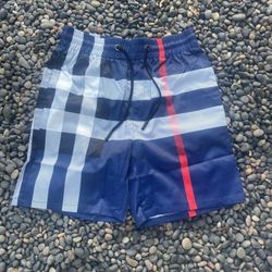 blue burberry swimming shorts 