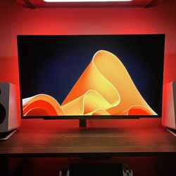 LG 27" OLED 1440p 240hz Gaming monitor