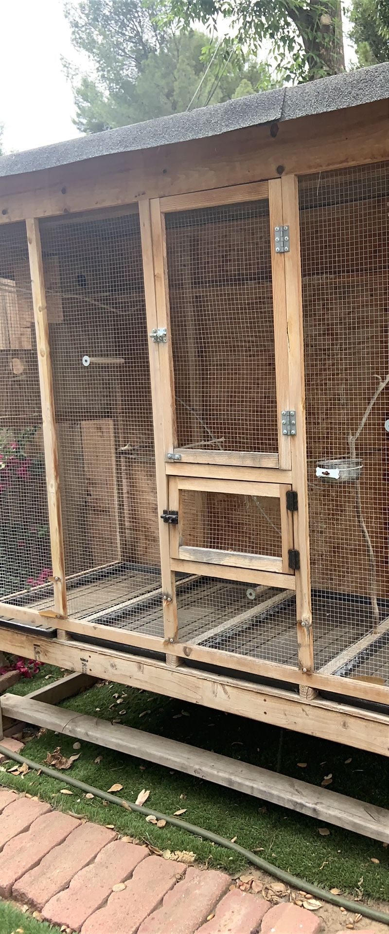 Bird Cage