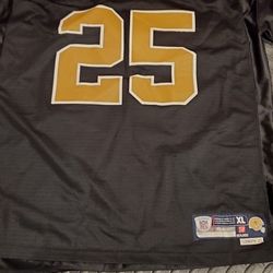 Reggie Bush Reebok Jersey STICHED Authentic 