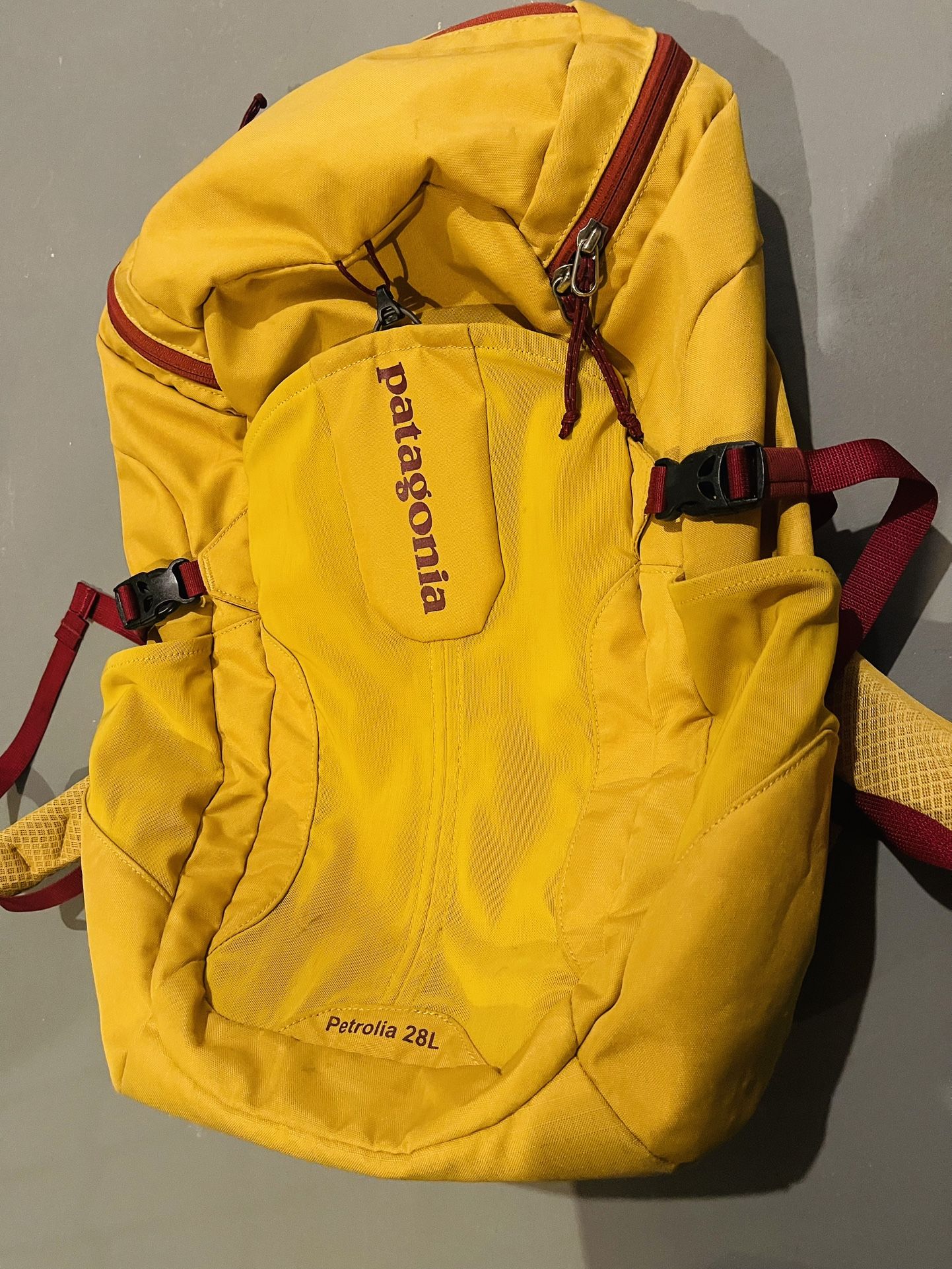 Patagonia Backpack