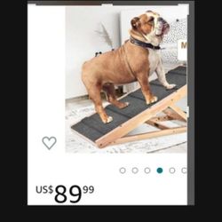 dog ramp