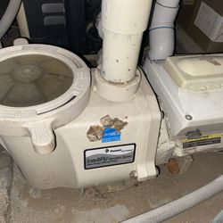 Pool Pump Installation And Repair 