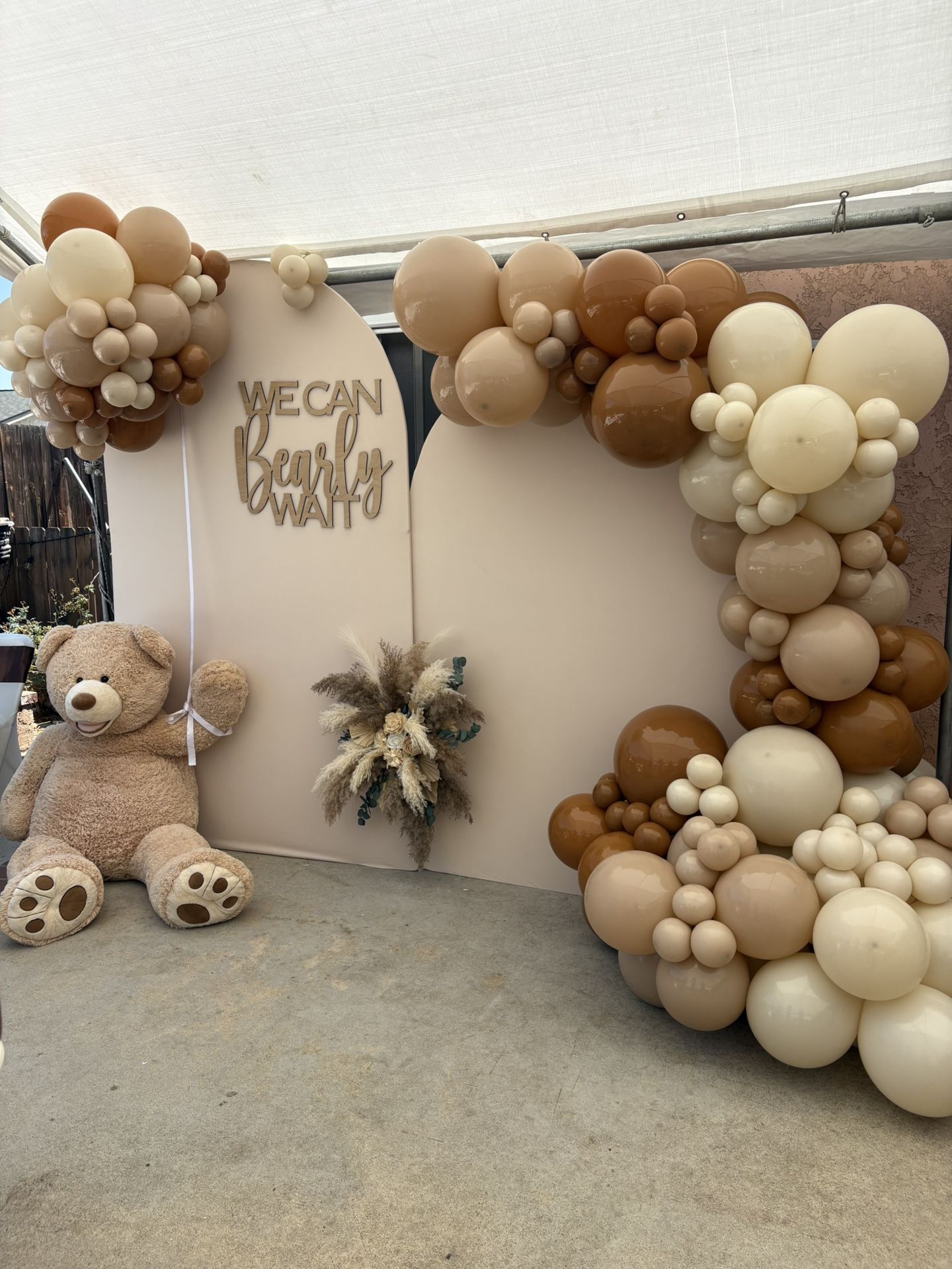 Balloon Backdrop 
