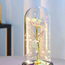 Lights Up Rose In Dome