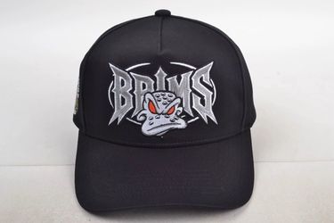 Anaheim SnapBack hat ducks angels