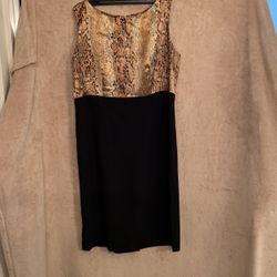 Studio I Dress Size 10