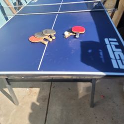 Ping Pong Table