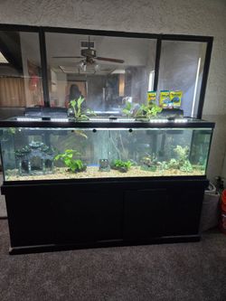 $400~125 Tank/Stand +many accessories