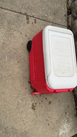 Igloo Cooler