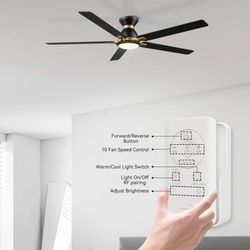 60" Ceiling Fan with Light & Remote