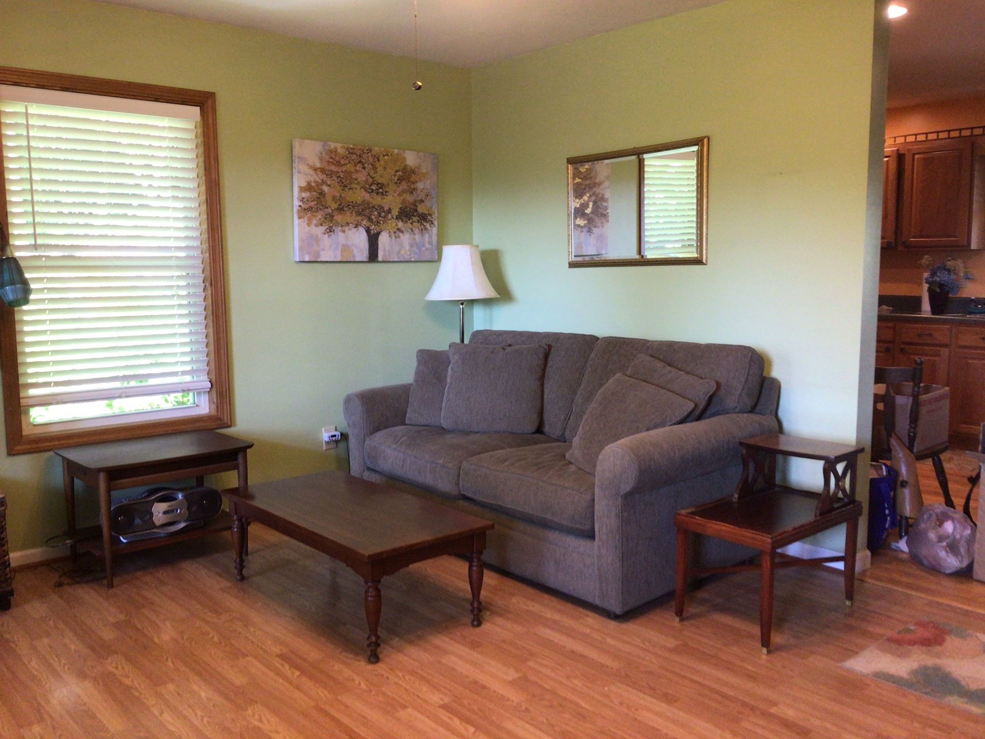 Loveseat Sleeper Sofa