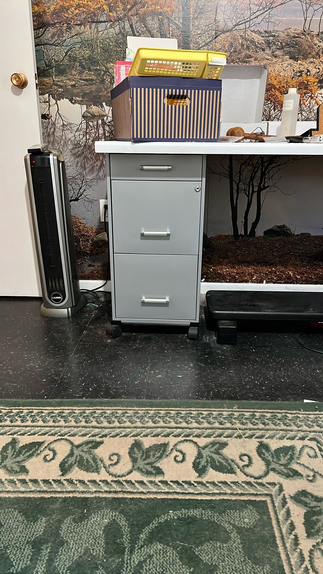 Filing Cabinet Plus Extra Drawer For Pencils And Miscellaneous.