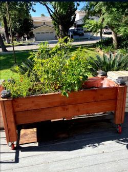 🌱🌱🌱Custom Planters🌱🌱🌱 prices are in my full post read full post first!!!