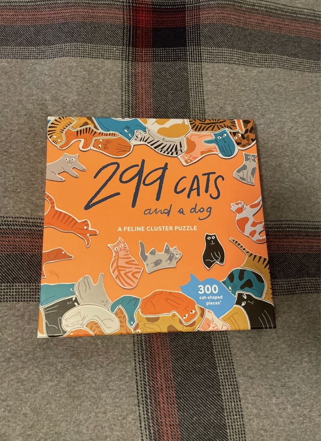 299 Cats And A Dog Puzzle 