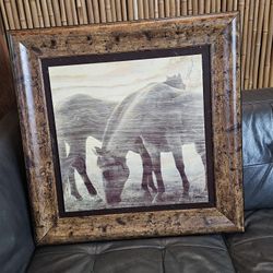 Western Horse Picture 