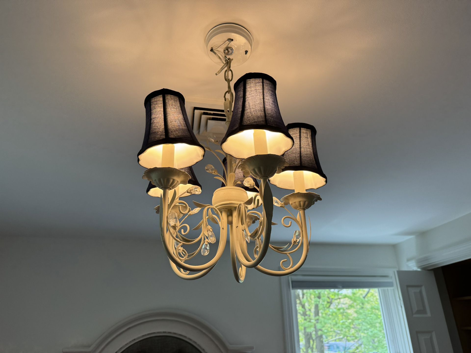 Chandelier 5 Light Fixtures Lamp Ceiling Pendants 