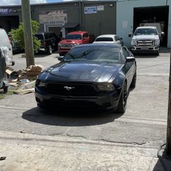 2010 Ford Mustang For Sale