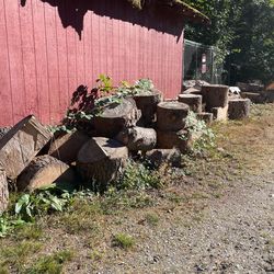 Seasoned Wood Rounds 