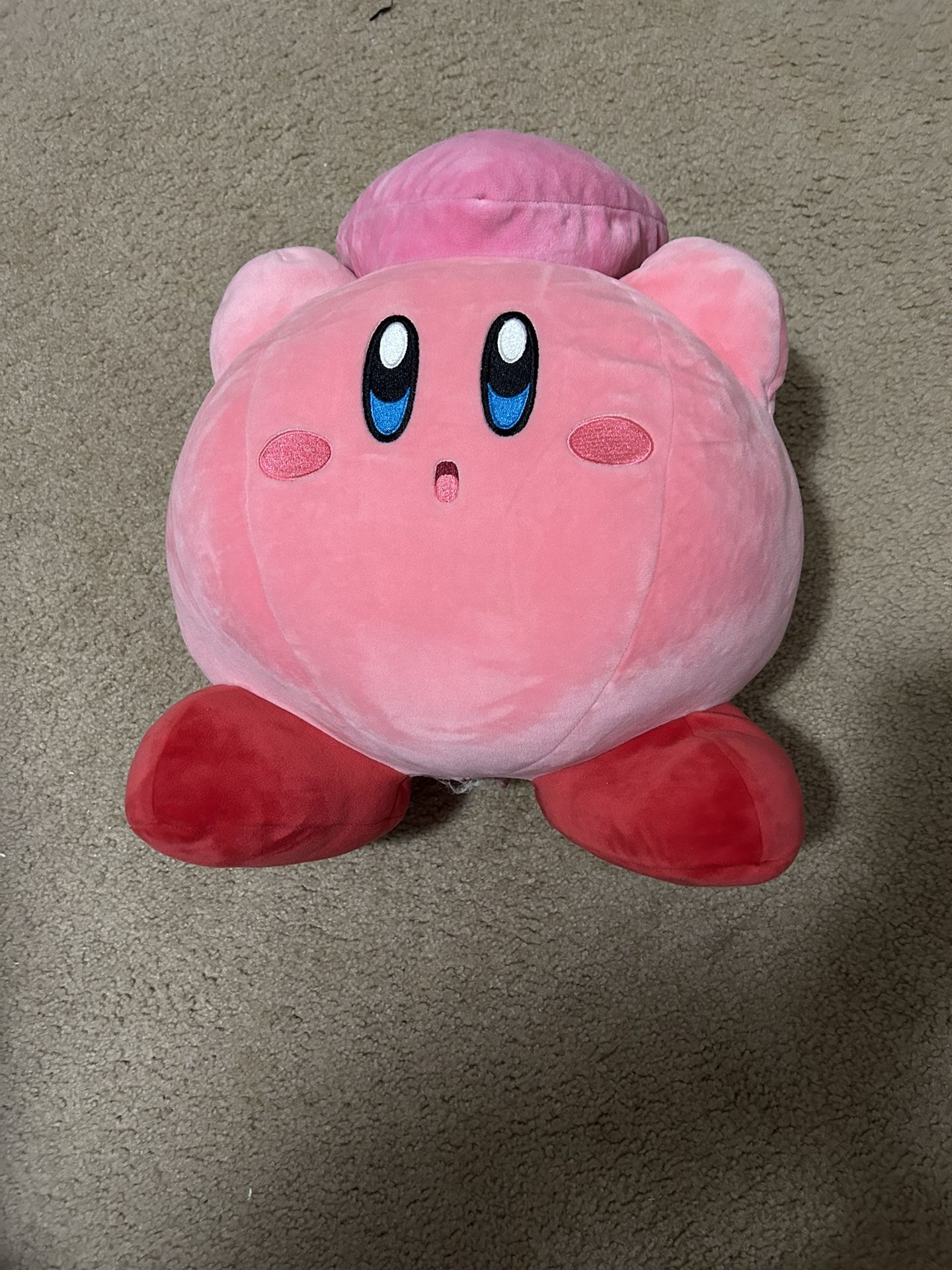 It’s a pink plushie. $20