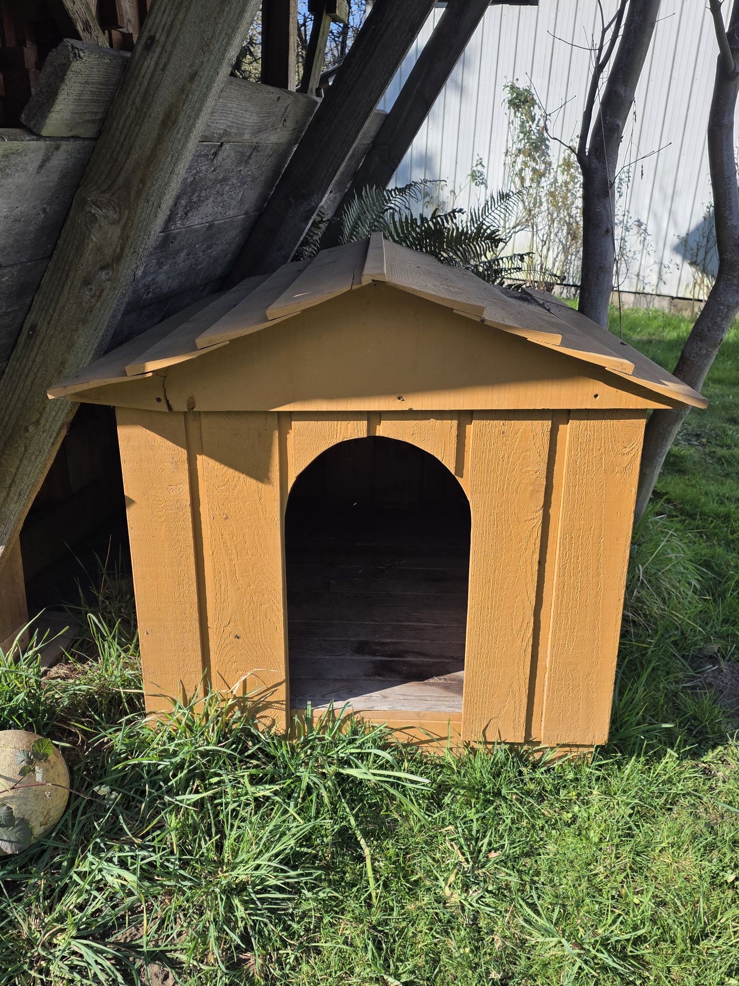 Large dog house