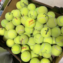 Used Tennis Balls (100 For $35)