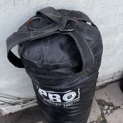 100LBS punching Bag