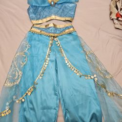Princess Jasmine Halloween Costume