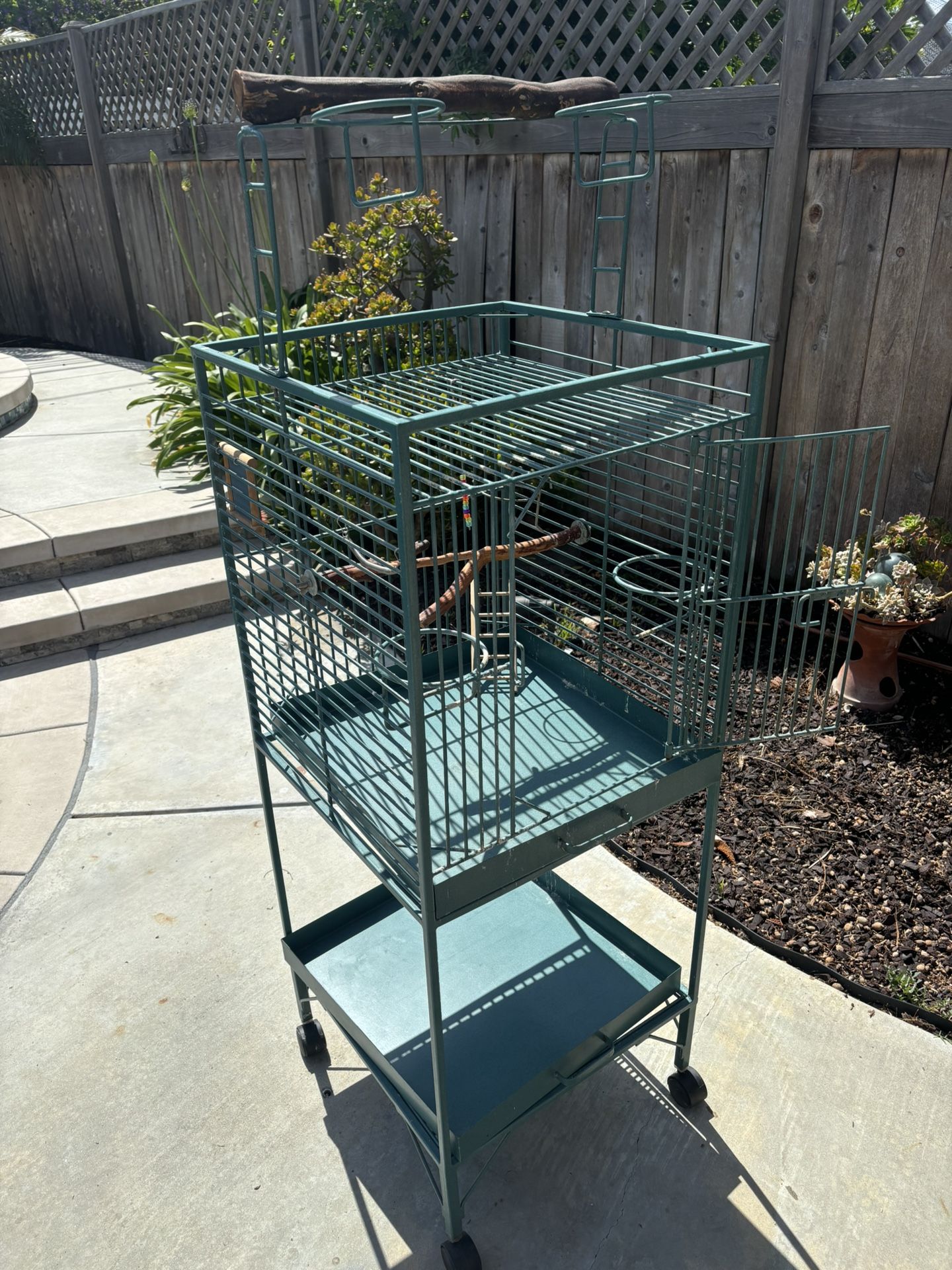 Bird Cage.