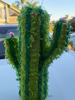 Pinatas 2 cactus 🌵  party