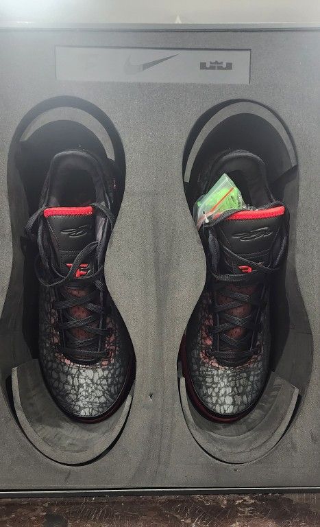 Nike LeBron Faze Clan