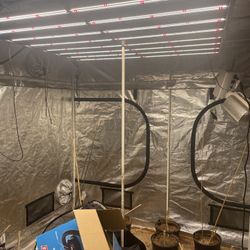 Gavitia 1700E LED Grow Lights 