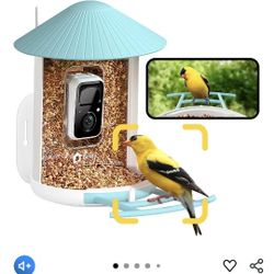 NETVUE by Birdfy Smart Bird Feeder with Camera