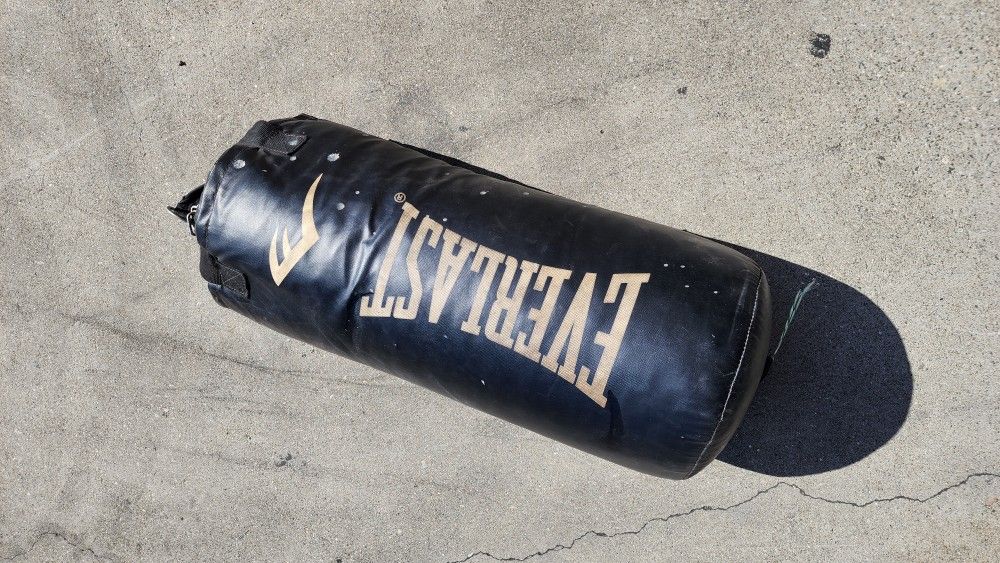 Everlast Punching Bag