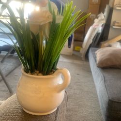 fake Plant  original Price 10$ New Price 1$ From Target