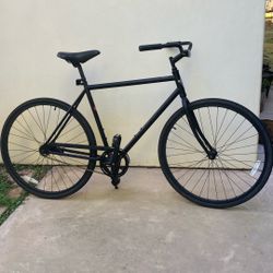 Electra Loft - Size Large