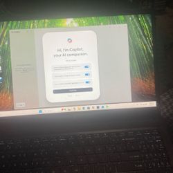 Asus Nitro V Gaming Laptop 