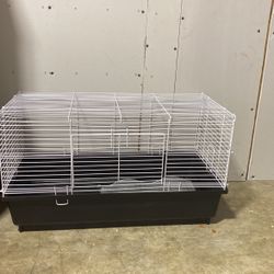 Guniea Pig Cage