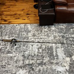 Lamiglas shimano curado