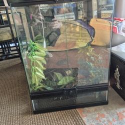 Reptile Terrarium