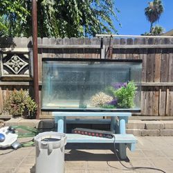 150 Gallon Fish Tank 200 With Pump And Filter