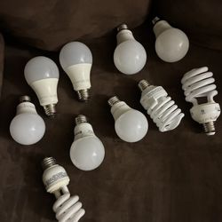 Lightbulbs 