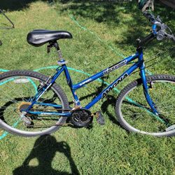 Magna Bicycle 