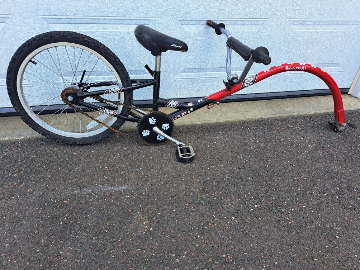 Bike Trailor For Kids