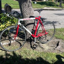 Vintage Cannondale Bike