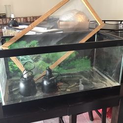 Reptile Tank